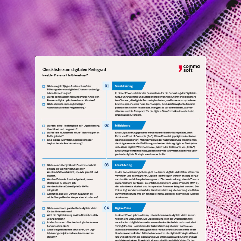 Ausschnitt Checkliste digitaler Reifegrad