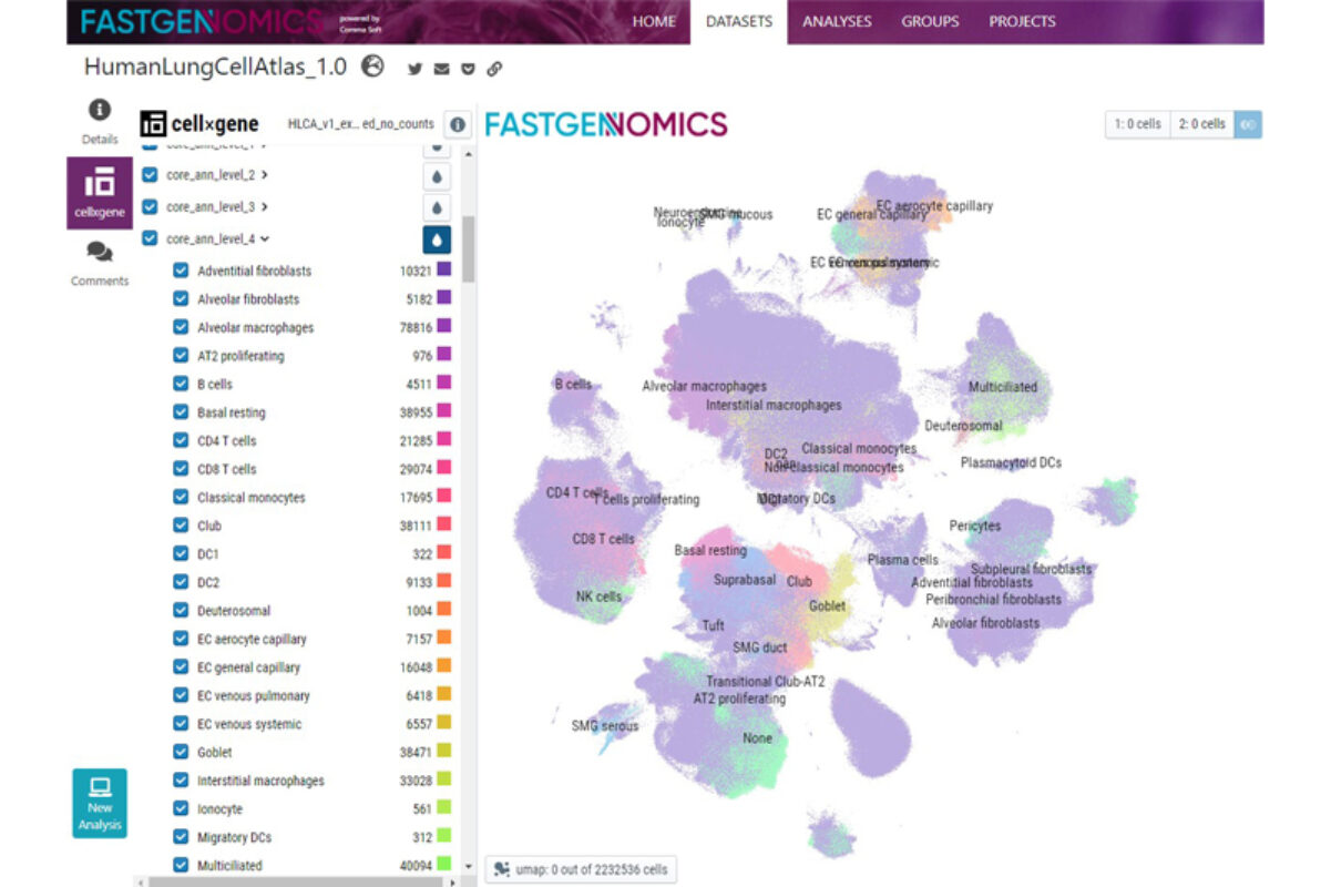 Comma Platform Framework | Comma Soft