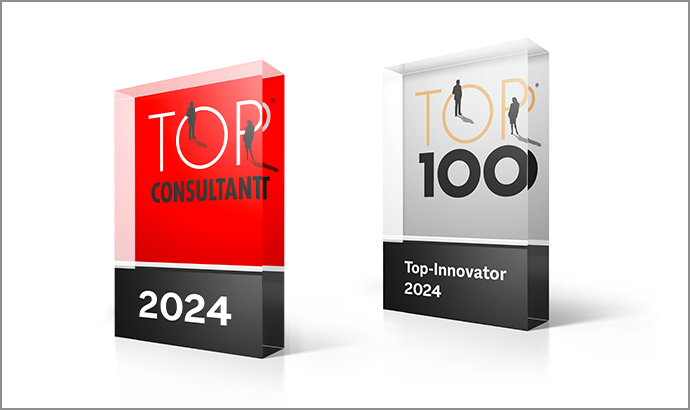 Top Consultant & Top Innovator 2024